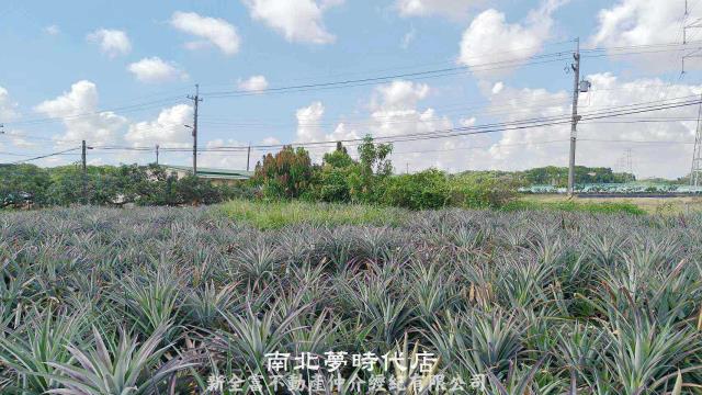 台南柳營農地-6