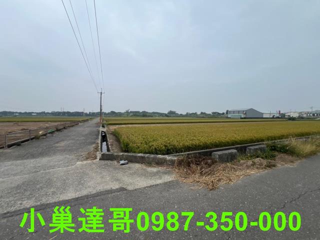 民雄農地-10