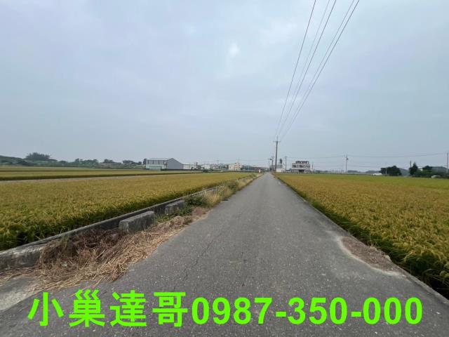 民雄農地-6