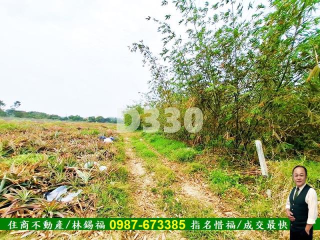 歸仁農地-10