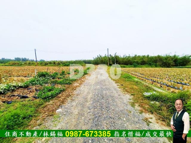 歸仁農地-1