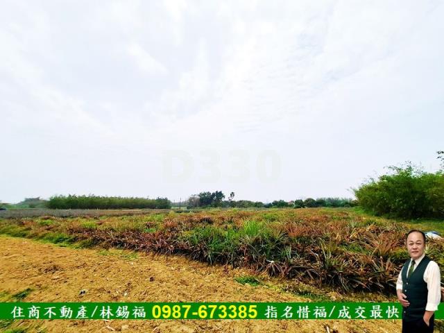 歸仁農地-5