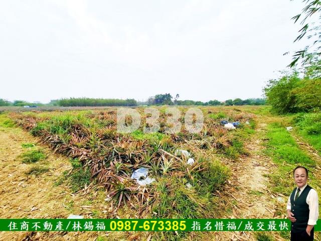 歸仁農地-7