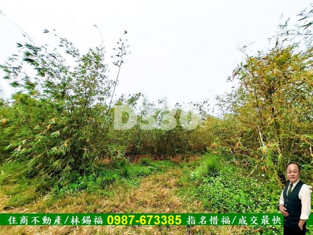 歸仁農地-8