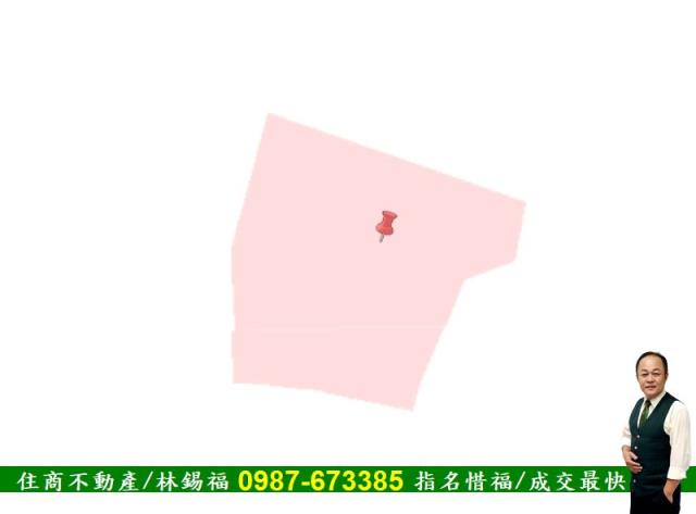 善化農地-7