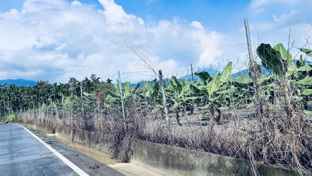 屏東萬巒農地-1
