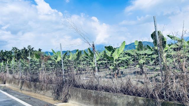 屏東萬巒農地-3