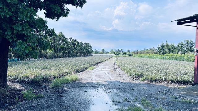 屏東萬巒農地-5