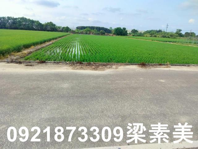 歸仁農地-2