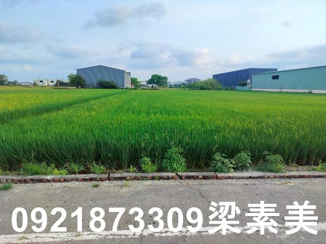 歸仁農地-3