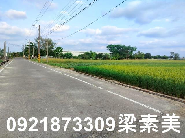 歸仁農地-6