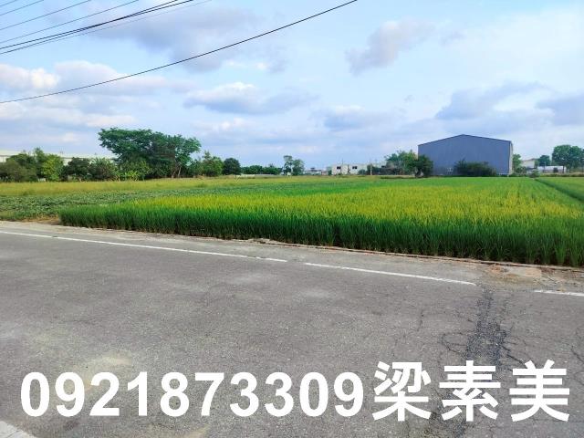 歸仁農地-7