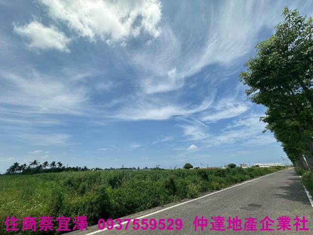 台南農地-8