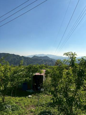 台中農地-5