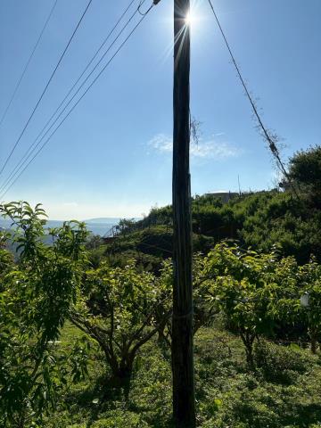 台中農地-9