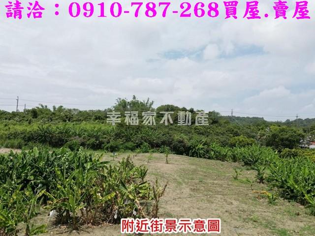 新化農地-15