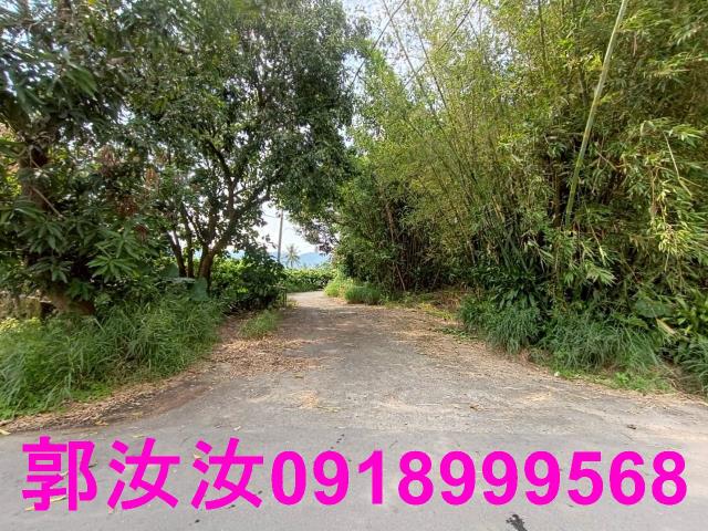 台南楠西農地-3