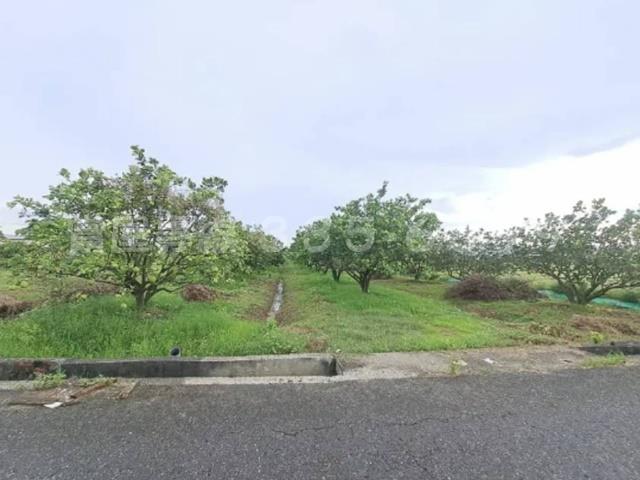 下營農地-3