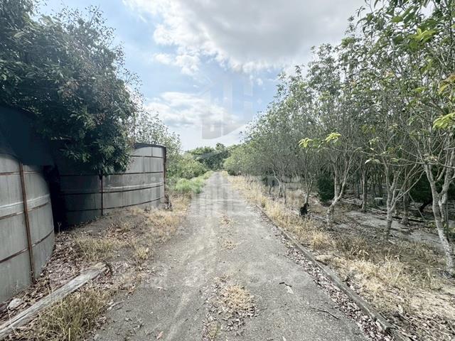 楠西農地-3
