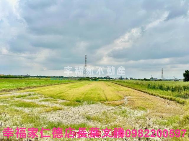 新化農地-11
