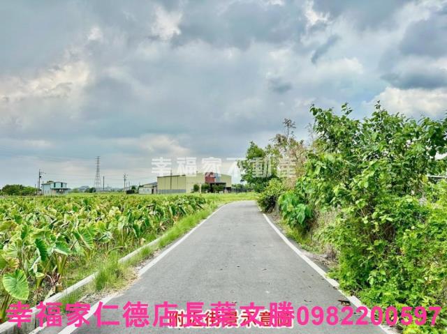 新化農地-14