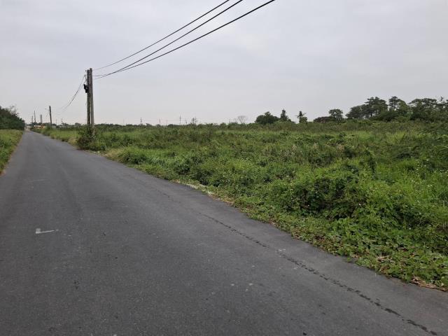 新市農地-10