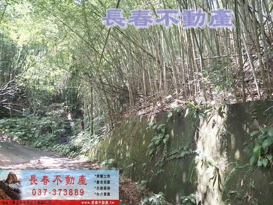 苗栗農地-7