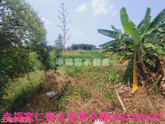 台南農地-2