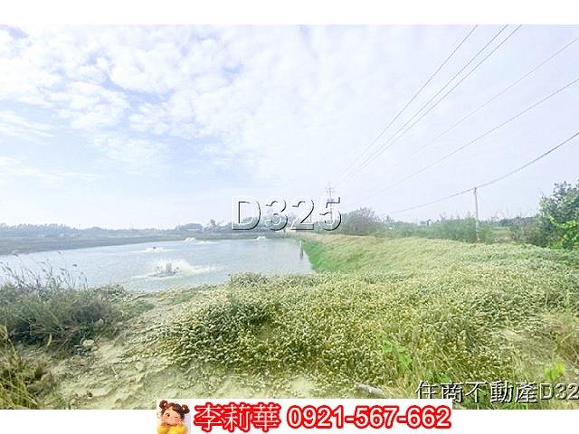 台南鹽水農地-7