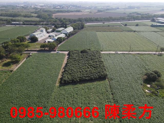 嘉義義竹農地-2