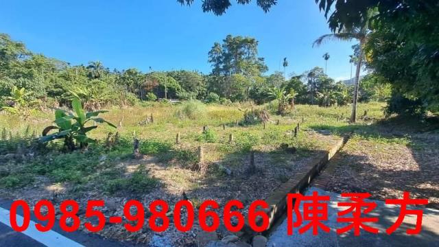 嘉義中埔農地-4