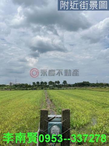 台南善化農地-1