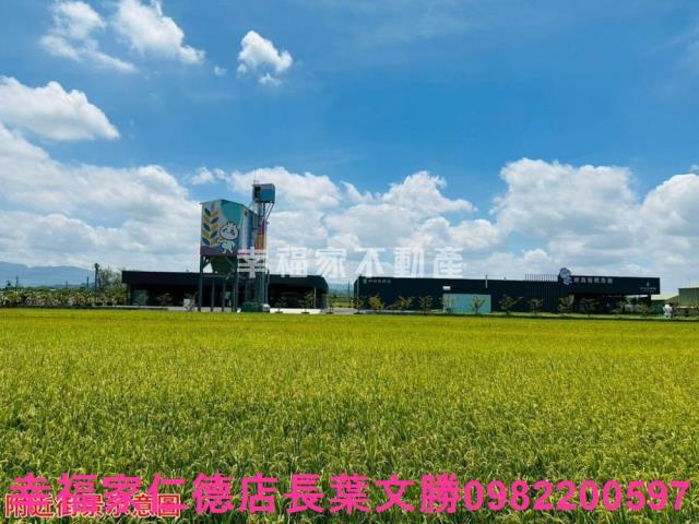 台南農地-11