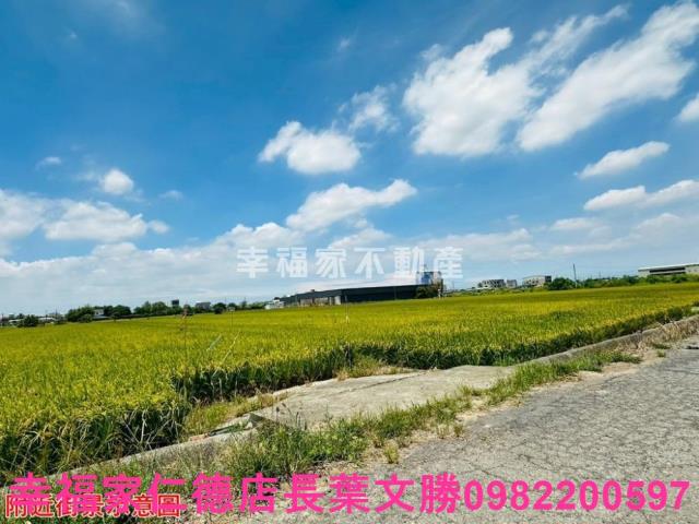 台南農地-12