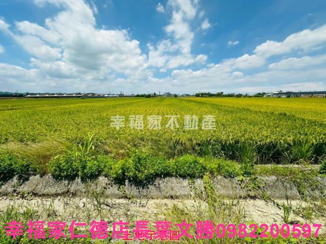 台南農地-14
