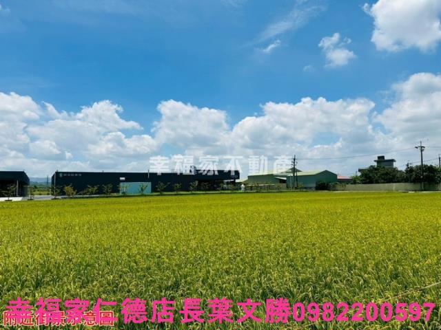 台南農地-2