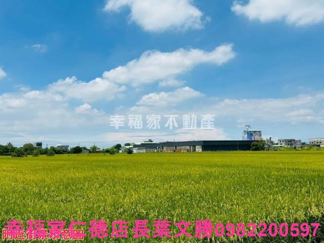 台南農地-4