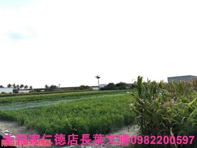 台南農地-8