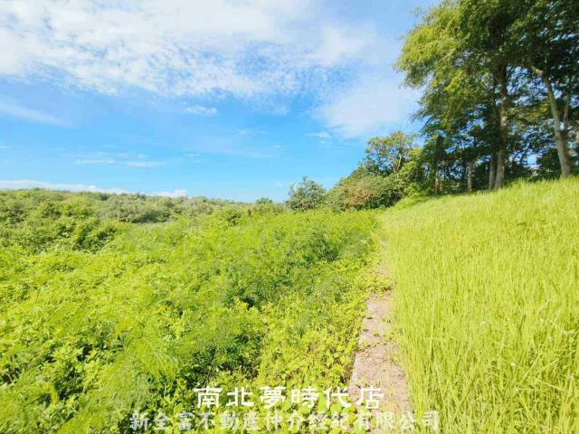 台南玉井農地-1