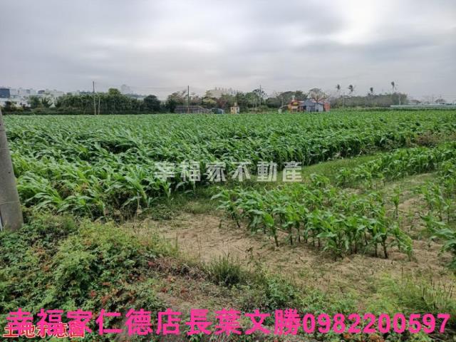台南佳里農地-2