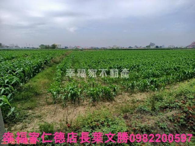 台南佳里農地-3