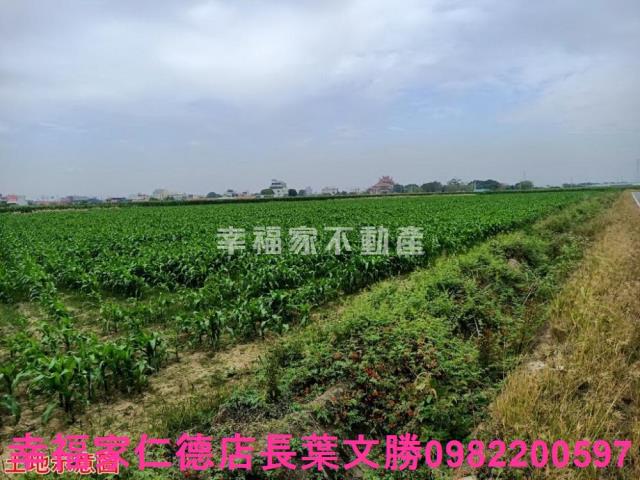 台南佳里農地-4
