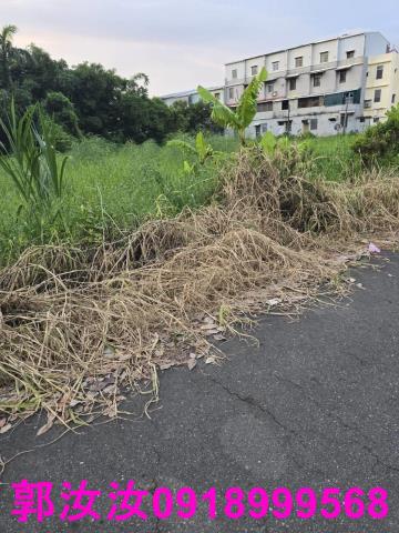 台南歸仁農地-11