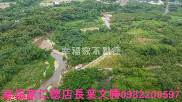 台南關廟農地-10