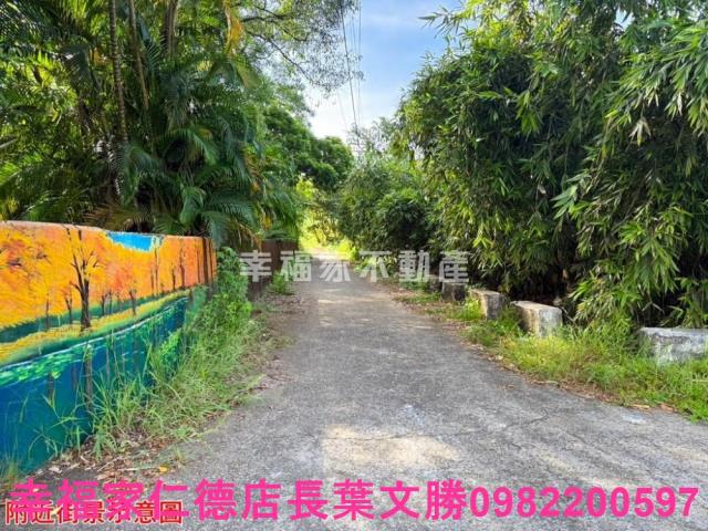 台南關廟農地-5
