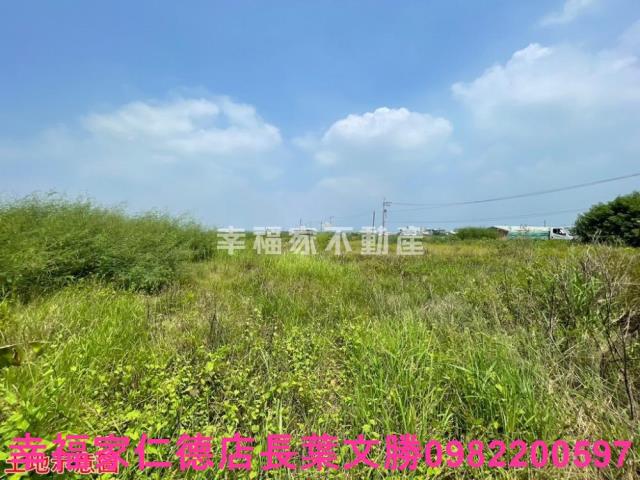 高雄湖內農地-9
