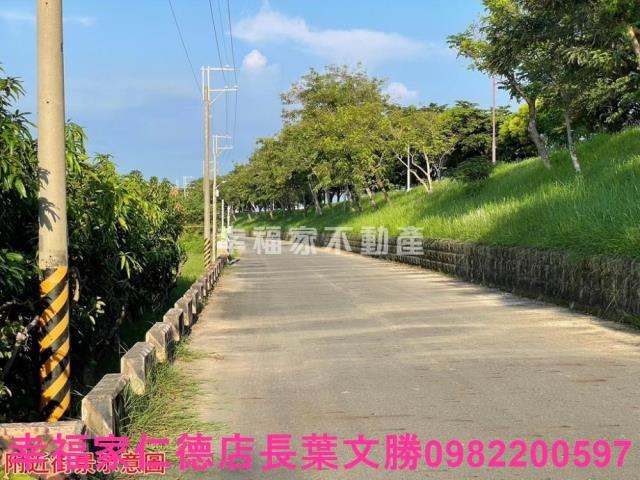 台南仁德農地-12