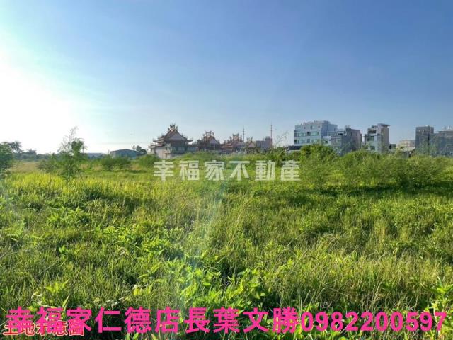 台南仁德農地-15