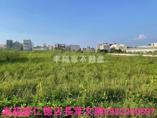 台南仁德農地-7