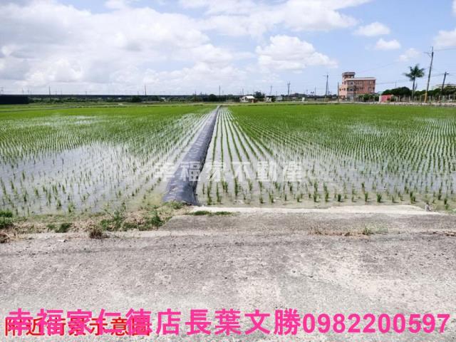 台南六甲農地-11